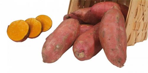 Sweet potato varieties shot in the studio for Don Labonte