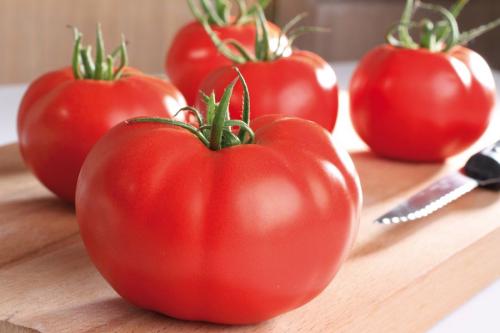 Tomate-supersteak
